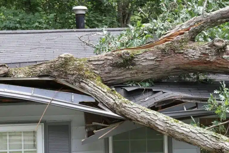 Roofing Company-Bonaire-GA
